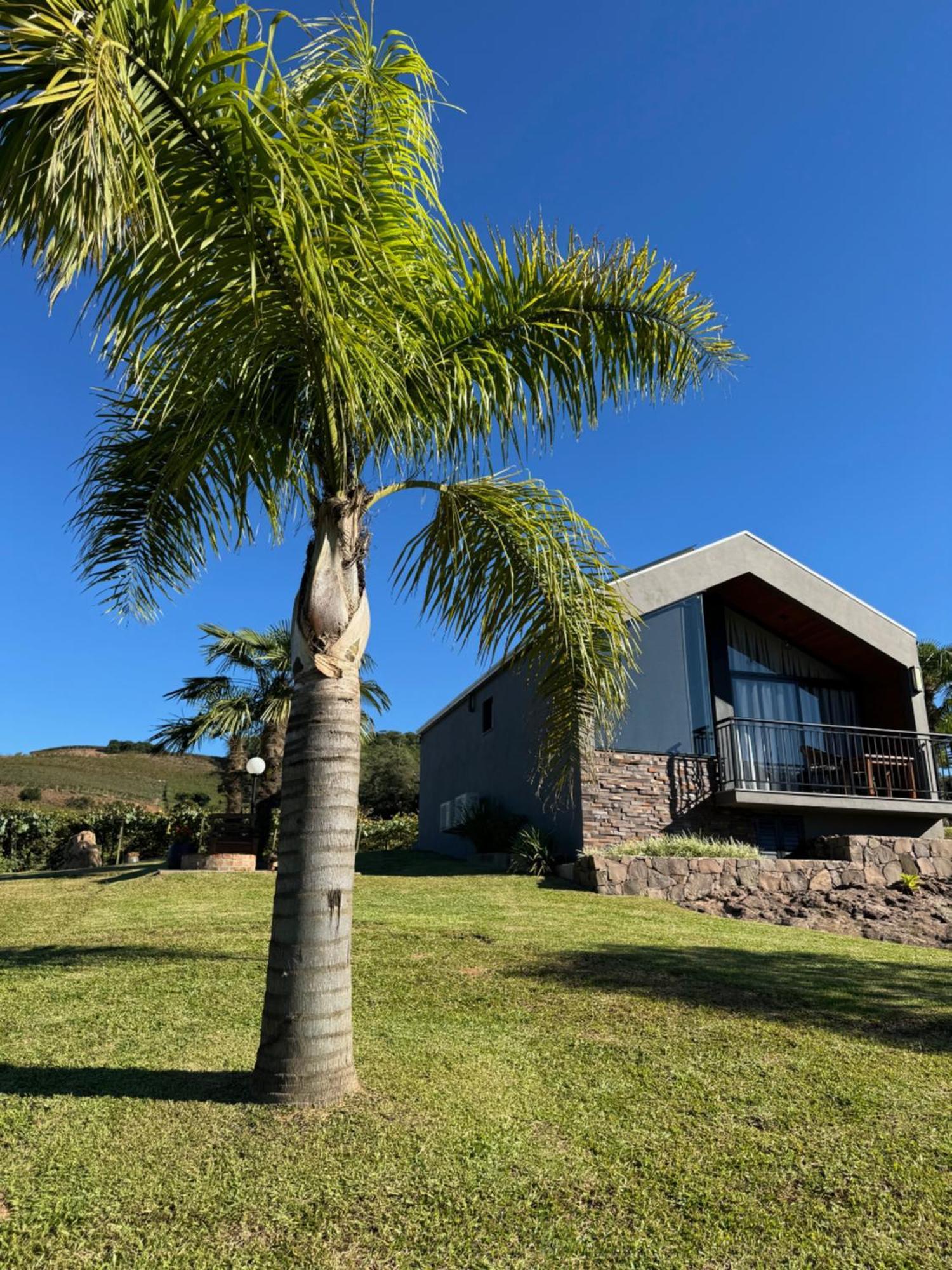 Cabanas Le Vigne Pinto Bandeira エクステリア 写真