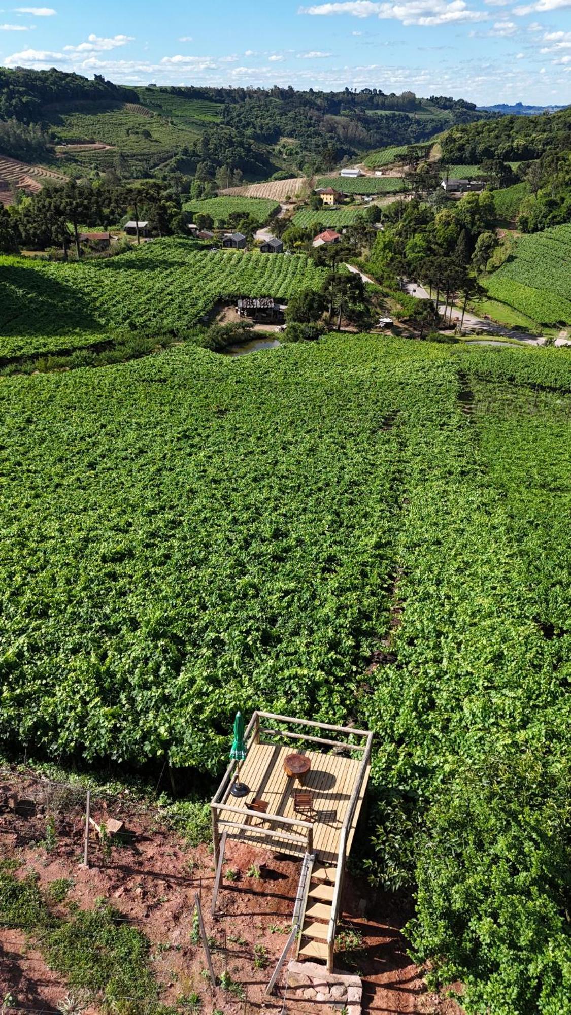 Cabanas Le Vigne Pinto Bandeira エクステリア 写真