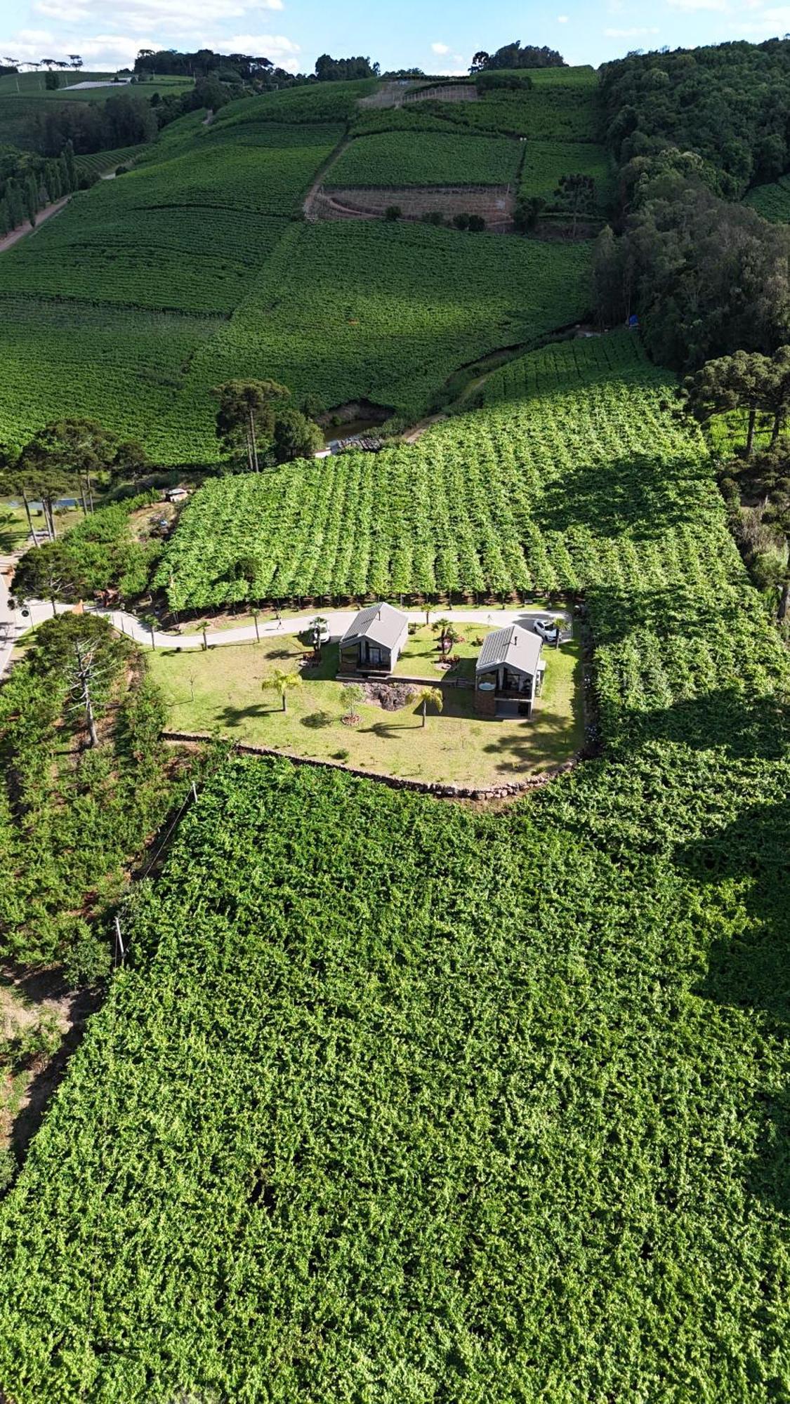 Cabanas Le Vigne Pinto Bandeira エクステリア 写真