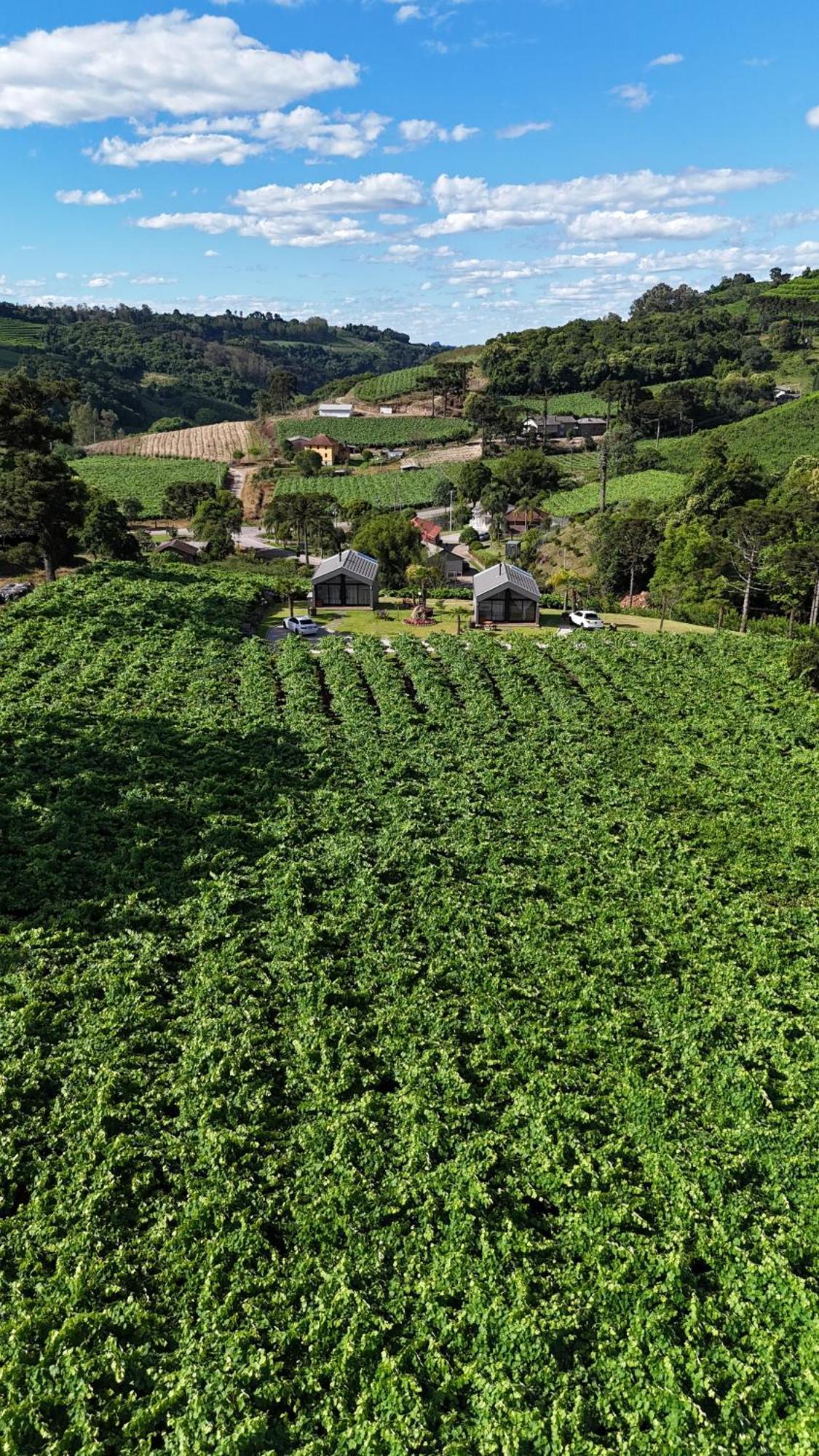 Cabanas Le Vigne Pinto Bandeira エクステリア 写真