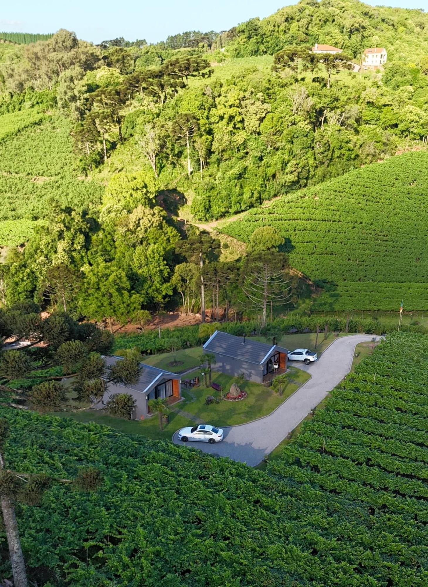 Cabanas Le Vigne Pinto Bandeira エクステリア 写真